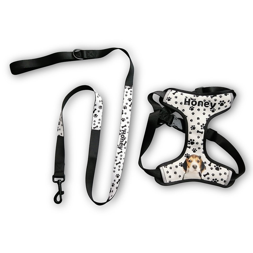 Design Your Own Set Pet Leash And Harness