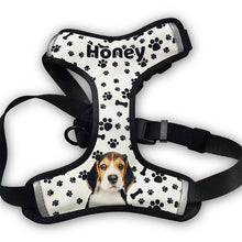 Load image into Gallery viewer, Design Your Own Set Pet Leash And Harness
